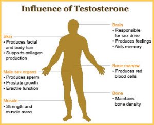 Normal male testosterone levels by age
